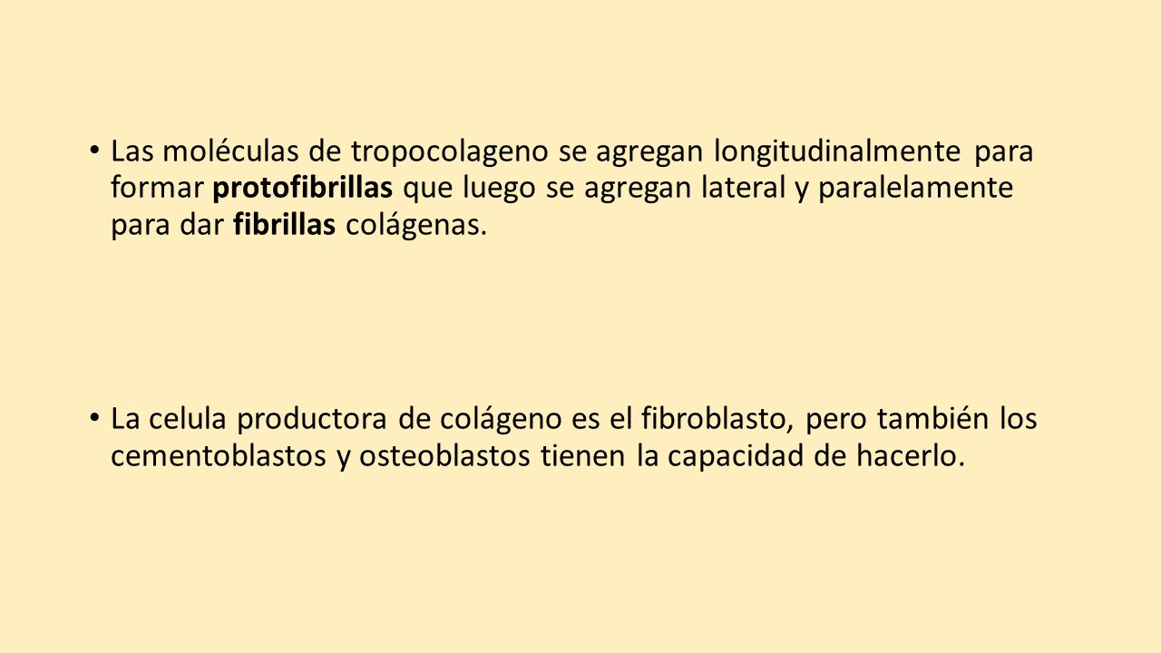 Las moléculas de tropocolageno se agregan longitudinalmente para formar protofibrillas que luego se agregan lateral y paralelamente para dar fibrillas colágenas.