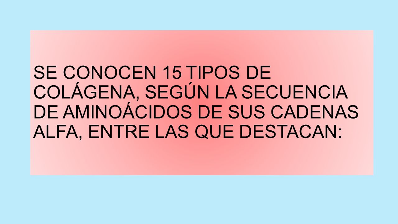 SE CONOCEN 15 TIPOS DE COLÁGENA, SEGÚN LA SECUENCIA DE AMINOÁCIDOS DE SUS CADENAS ALFA, ENTRE LAS QUE DESTACAN: