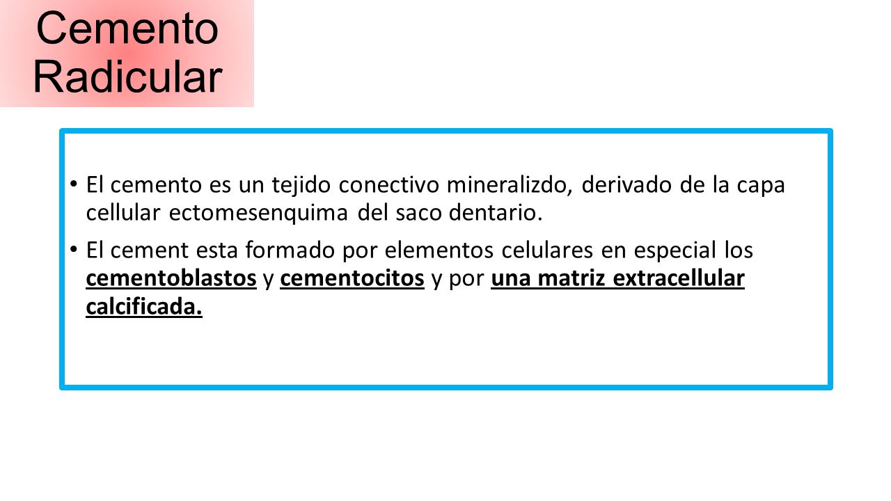 Cemento Radicular El cemento es un tejido conectivo mineralizdo, derivado de la capa cellular ectomesenquima del saco dentario.