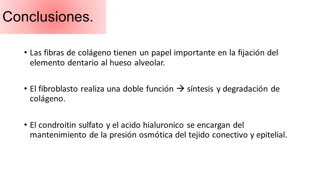 Conclusiones. Las fibras de colágeno tienen un papel importante en la fijación del elemento dentario al hueso alveolar.