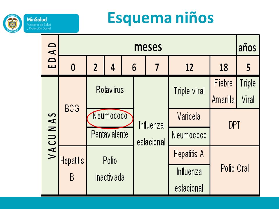 Esquema niños