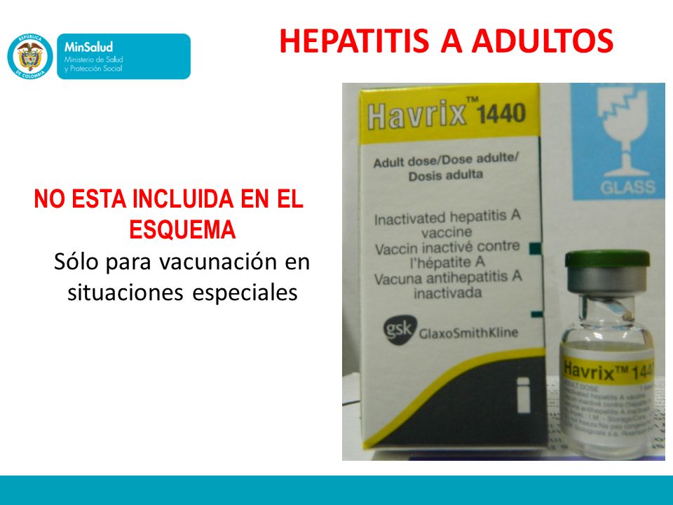 HEPATITIS A ADULTOS NO ESTA INCLUIDA EN EL ESQUEMA Sólo para vacunación en situaciones especiales.