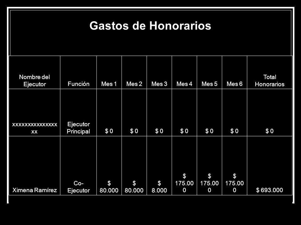 Gastos de Honorarios Nombre del Ejecutor Función Mes 1 Mes 2 Mes 3