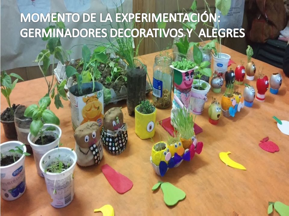 MOMENTO DE LA EXPERIMENTACIÓN: GERMINADORES DECORATIVOS Y ALEGRES