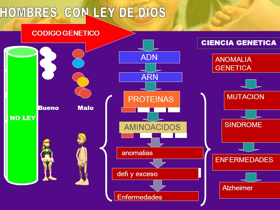 HOMBRES CON LEY DE DIOS ADN ARN PROTEINAS AMINOACIDOS CODIGO GENETICO