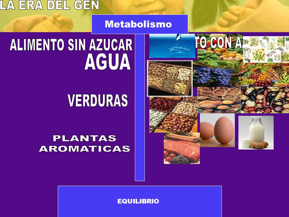 LA ERA DEL GEN ALIMENTO CON AZUCAR ALIMENTO SIN AZUCAR AGUA VERDURAS