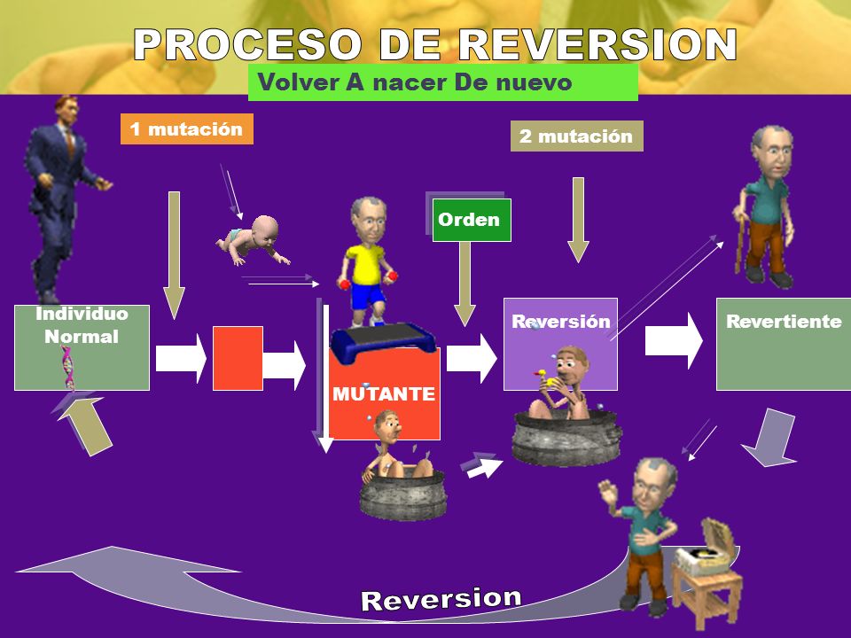 PROCESO DE REVERSION Reversion Volver A nacer De nuevo 1 mutación