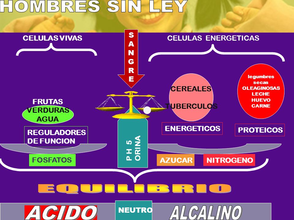 HOMBRES SIN LEY EQUILIBRIO ACIDO ALCALINO S A N G R E CELULAS VIVAS