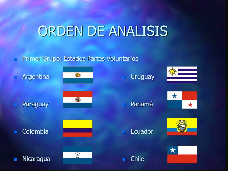 ORDEN DE ANALISIS Primer Grupo: Estados Partes Voluntarios Argentina