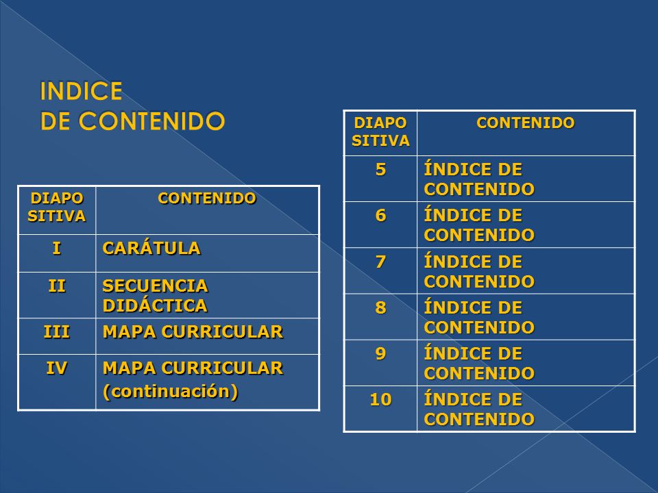 INDICE DE CONTENIDO 5 ÍNDICE DE CONTENIDO I CARÁTULA II