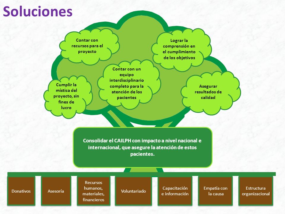 Soluciones Donativos. Asesoría. Recursos humanos, materiales, financieros. Voluntariado. Capacitación e información.