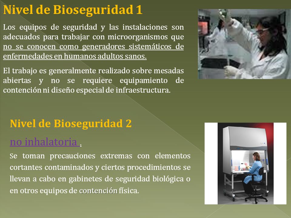 Nivel de Bioseguridad 1 Nivel de Bioseguridad 2 no inhalatoria .