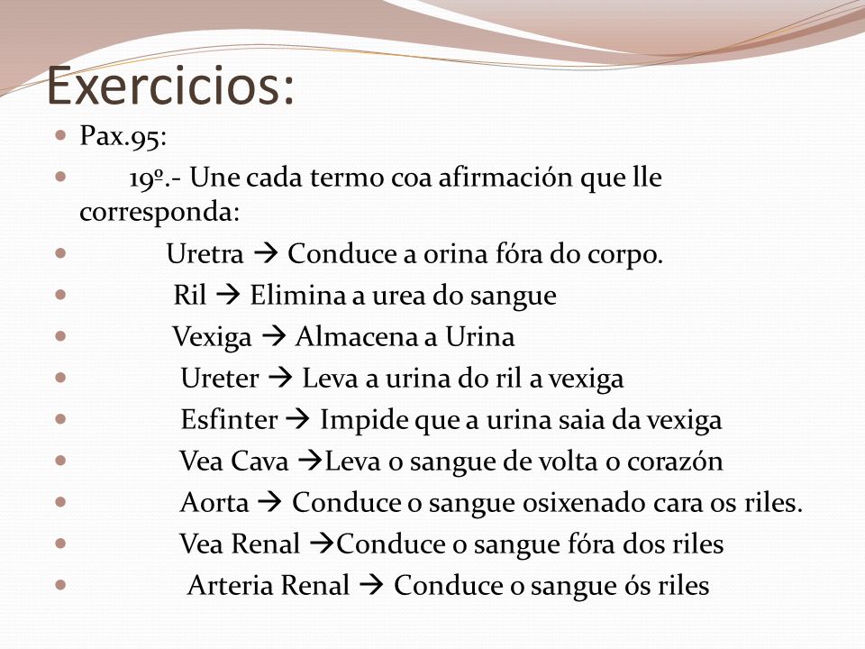 Exercicios: Pax.95: 19º.- Une cada termo coa afirmación que lle corresponda: Uretra  Conduce a orina fóra do corpo.