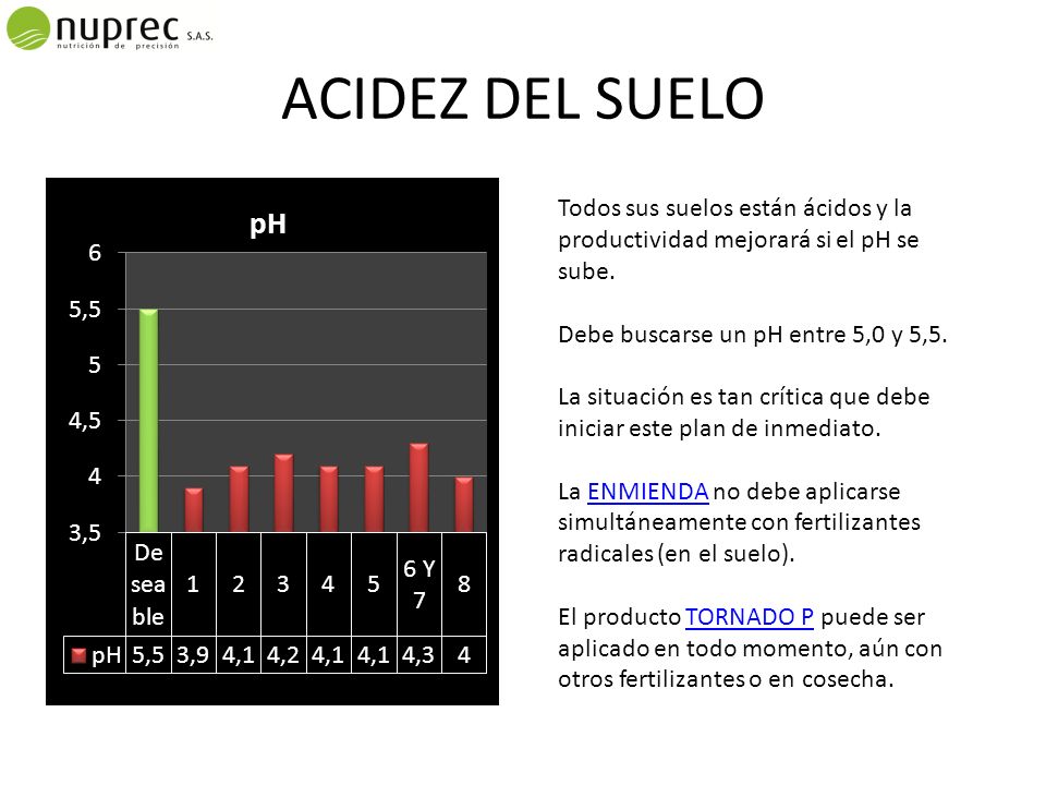 ACIDEZ DEL SUELO Todos sus suelos están ácidos y la productividad mejorará si el pH se sube. Debe buscarse un pH entre 5,0 y 5,5.