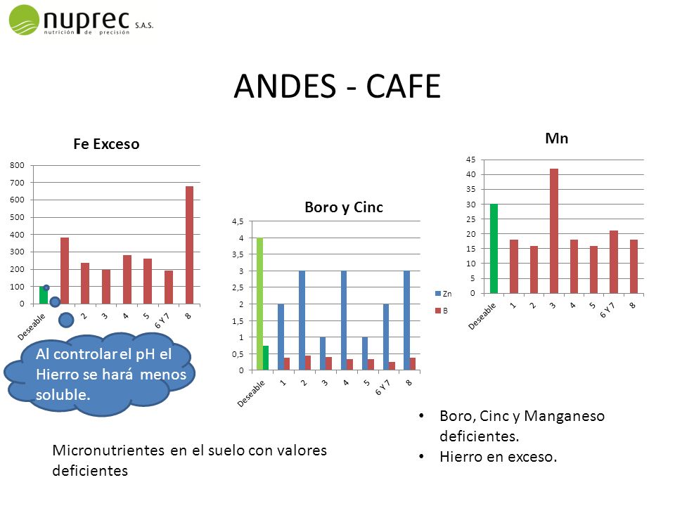 ANDES - CAFE Al controlar el pH el Hierro se hará menos soluble.