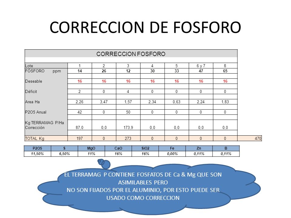EL TERRAMAG P CONTIENE FOSFATOS DE Ca & Mg QUE SON ASIMILABLES PERO
