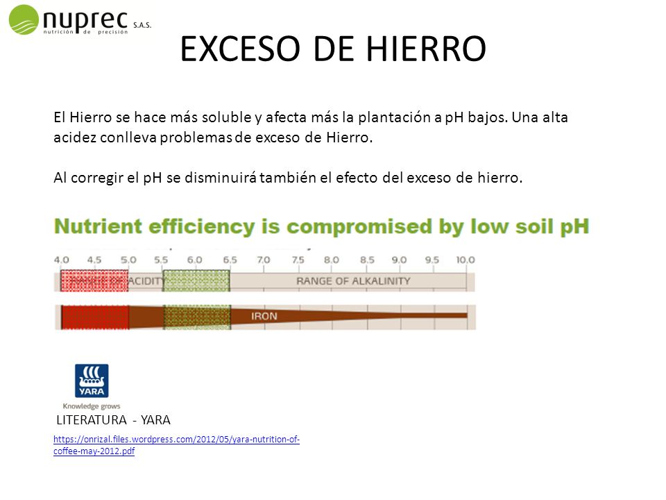 EXCESO DE HIERRO El Hierro se hace más soluble y afecta más la plantación a pH bajos. Una alta acidez conlleva problemas de exceso de Hierro.
