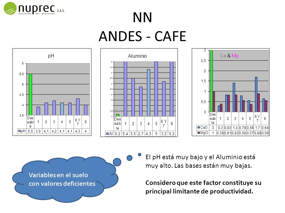NN ANDES - CAFE El pH está muy bajo y el Aluminio está muy alto. Las bases están muy bajas.