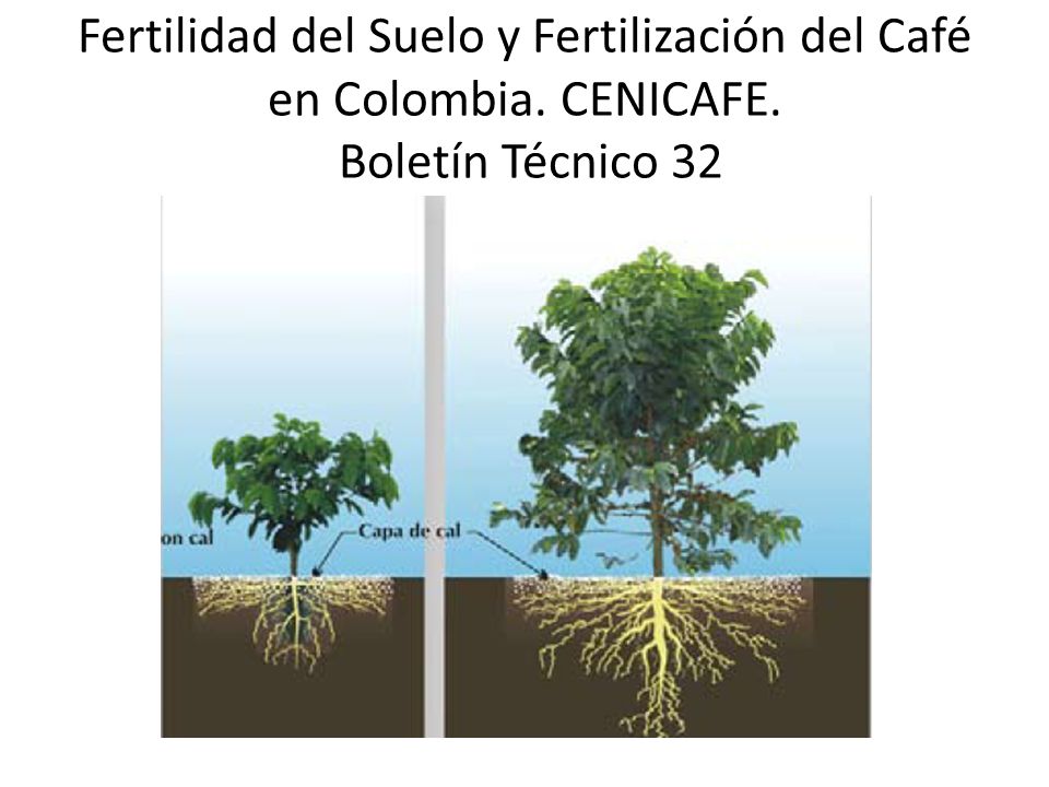 Fertilidad del Suelo y Fertilización del Café en Colombia. CENICAFE