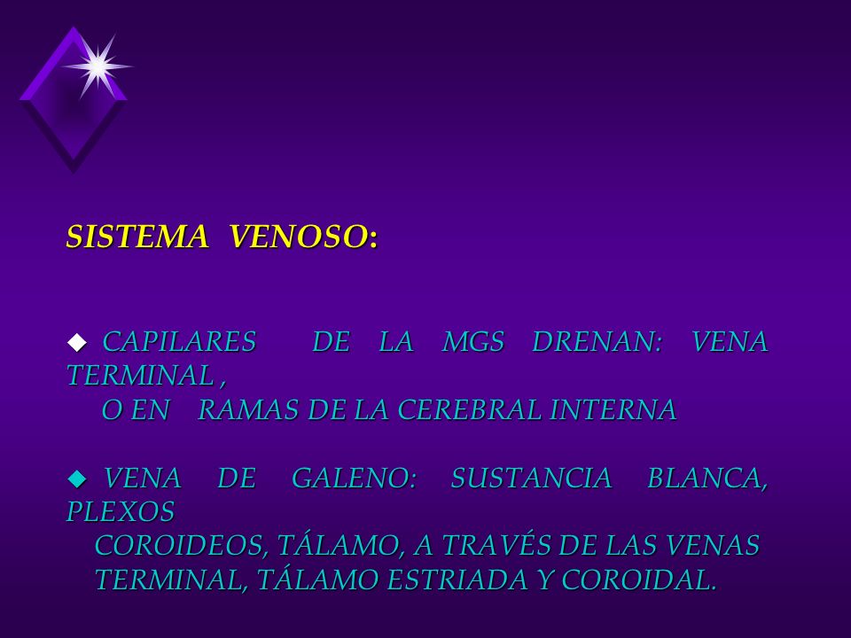 SISTEMA VENOSO: CAPILARES DE LA MGS DRENAN: VENA TERMINAL ,