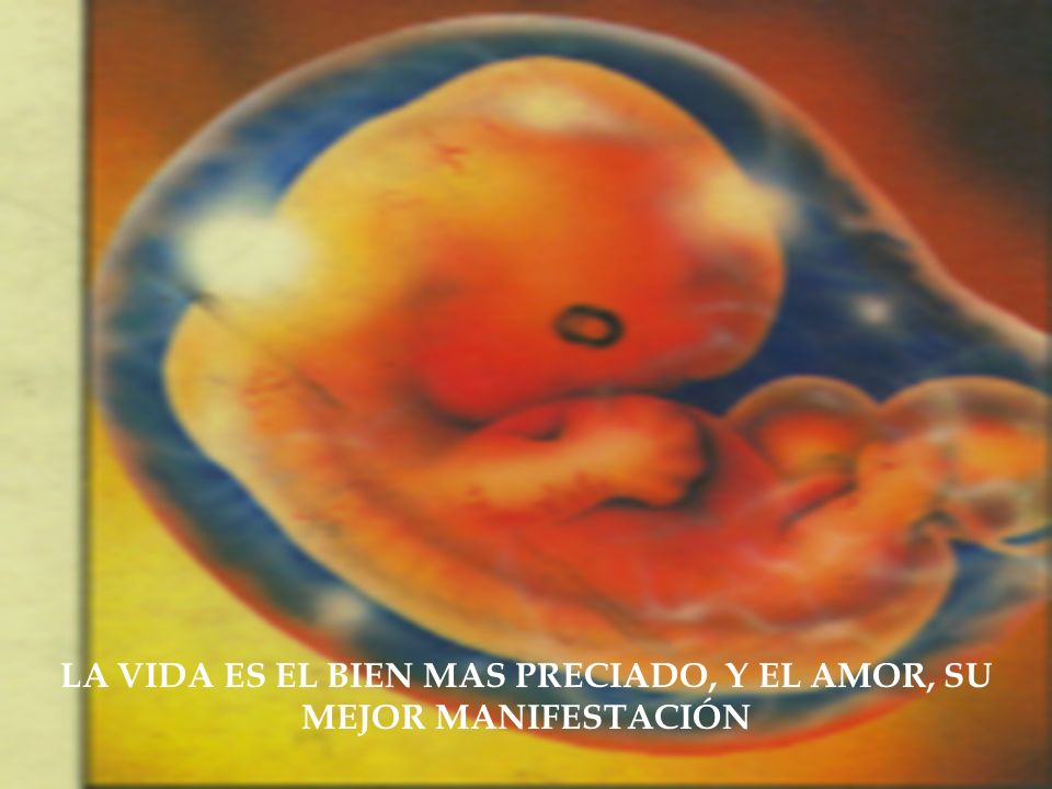 LA VIDA ES EL BIEN MAS PRECIADO, Y EL AMOR, SU MEJOR MANIFESTACIÓN