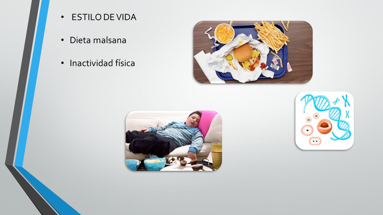 ESTILO DE VIDA Dieta malsana Inactividad física ESTILO DE VIDA