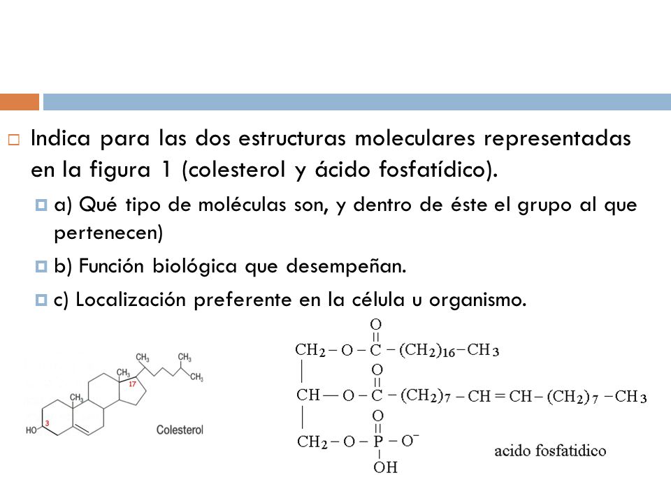 Indica para las dos estructuras moleculares representadas en la figura 1 (colesterol y ácido fosfatídico).