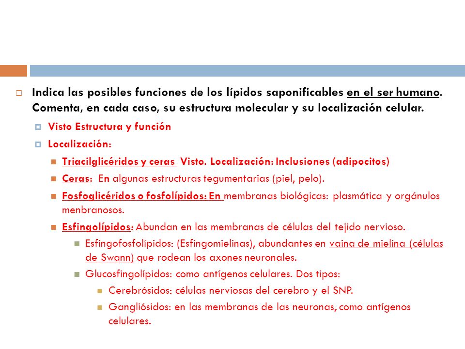 Indica las posibles funciones de los lípidos saponificables en el ser humano. Comenta, en cada caso, su estructura molecular y su localización celular.