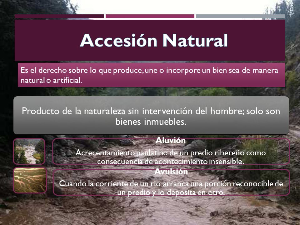 Accesión Natural Es el derecho sobre lo que produce, une o incorpore un bien sea de manera natural o artificial.