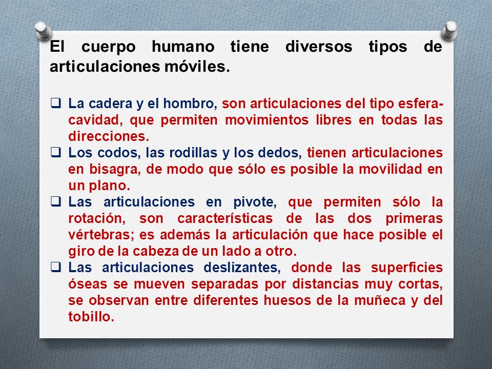 El cuerpo humano tiene diversos tipos de articulaciones móviles.
