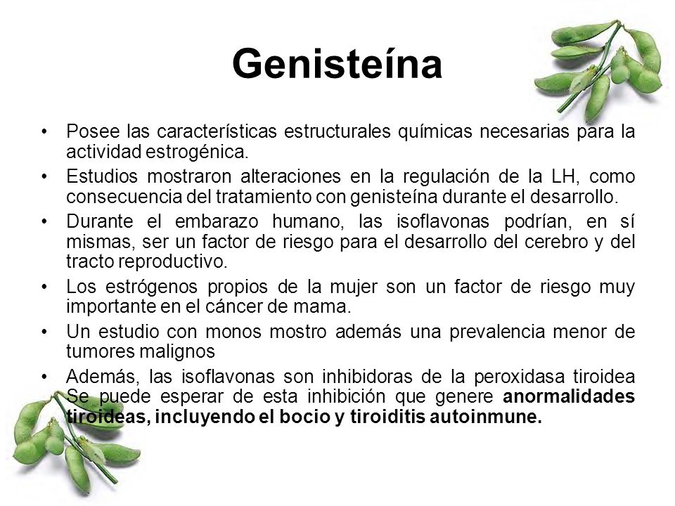 Genisteína Posee las características estructurales químicas necesarias para la actividad estrogénica.