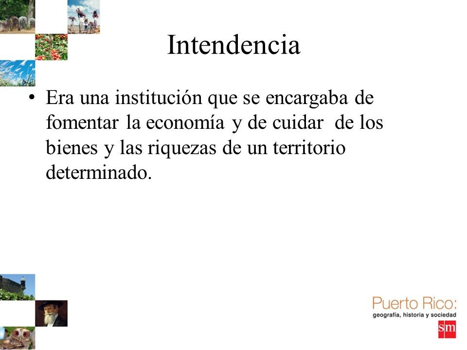 Intendencia Era una institución que se encargaba de fomentar la economía y de cuidar de los bienes y las riquezas de un territorio determinado.
