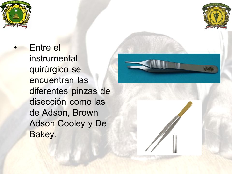 Entre el instrumental quirúrgico se encuentran las diferentes pinzas de disección como las de Adson, Brown Adson Cooley y De Bakey.