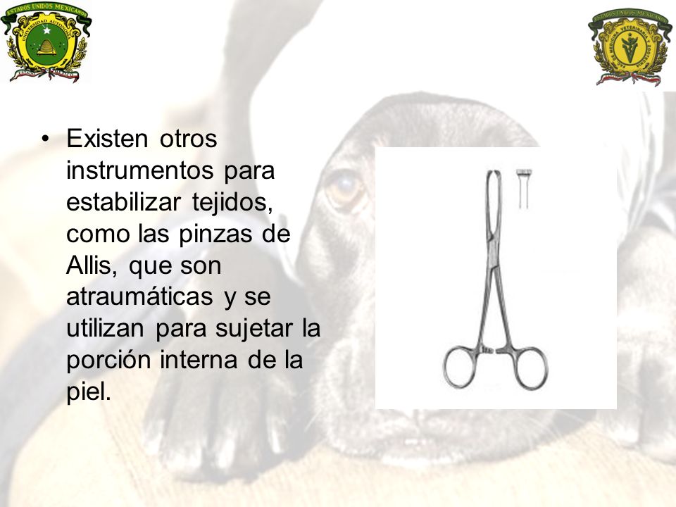 Existen otros instrumentos para estabilizar tejidos, como las pinzas de Allis, que son atraumáticas y se utilizan para sujetar la porción interna de la piel.