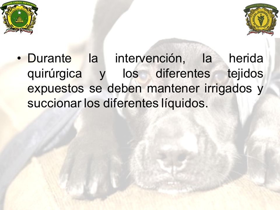 Durante la intervención, la herida quirúrgica y los diferentes tejidos expuestos se deben mantener irrigados y succionar los diferentes líquidos.
