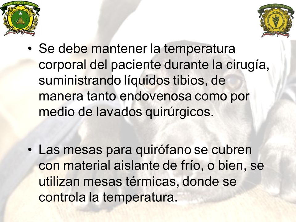 Se debe mantener la temperatura corporal del paciente durante la cirugía, suministrando líquidos tibios, de manera tanto endovenosa como por medio de lavados quirúrgicos.