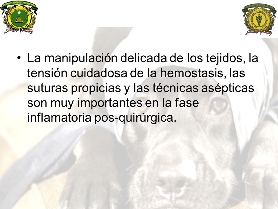 La manipulación delicada de los tejidos, la tensión cuidadosa de la hemostasis, las suturas propicias y las técnicas asépticas son muy importantes en la fase inflamatoria pos-quirúrgica.