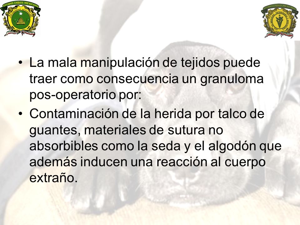 La mala manipulación de tejidos puede traer como consecuencia un granuloma pos-operatorio por: