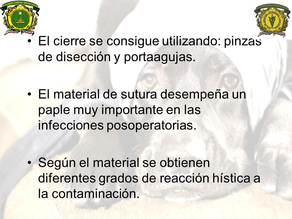El cierre se consigue utilizando: pinzas de disección y portaagujas.