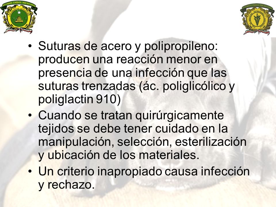 Suturas de acero y polipropileno: producen una reacción menor en presencia de una infección que las suturas trenzadas (ác. poliglicólico y poliglactin 910)