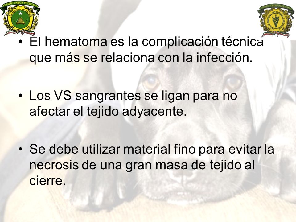 El hematoma es la complicación técnica que más se relaciona con la infección.