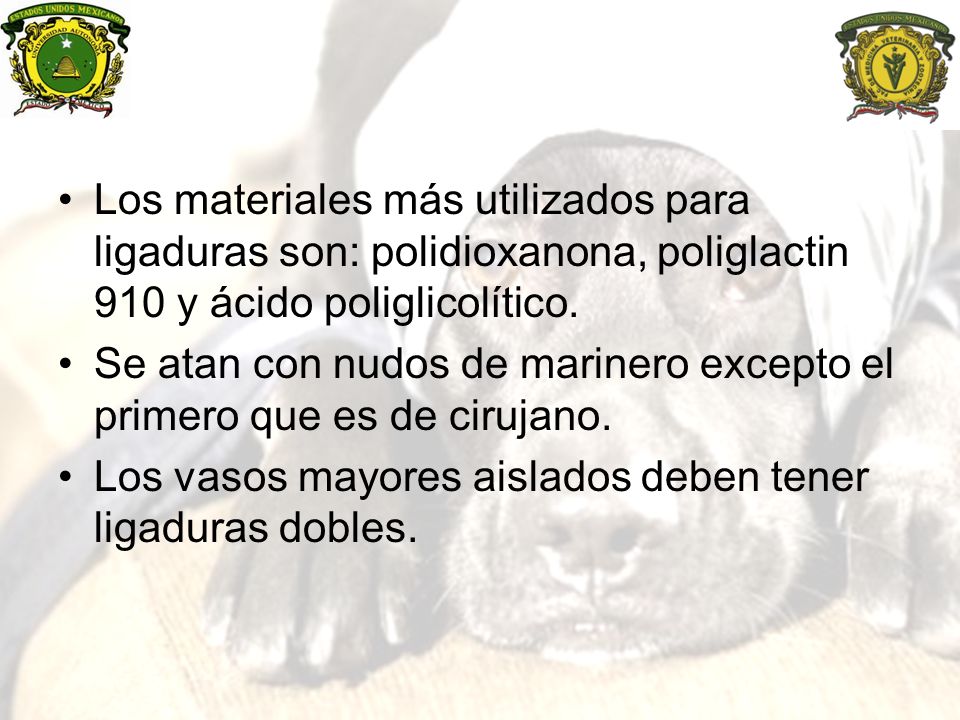 Los materiales más utilizados para ligaduras son: polidioxanona, poliglactin 910 y ácido poliglicolítico.