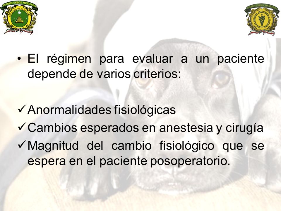 El régimen para evaluar a un paciente depende de varios criterios: