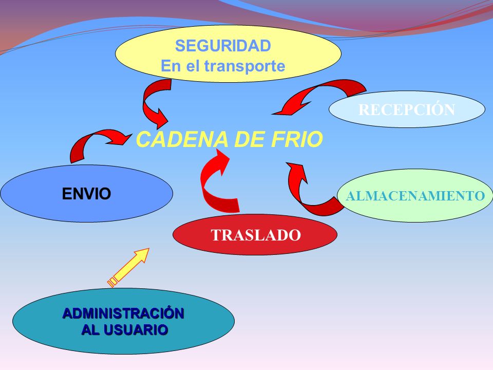 CADENA DE FRIO SEGURIDAD En el transporte RECEPCIÓN ENVIO TRASLADO