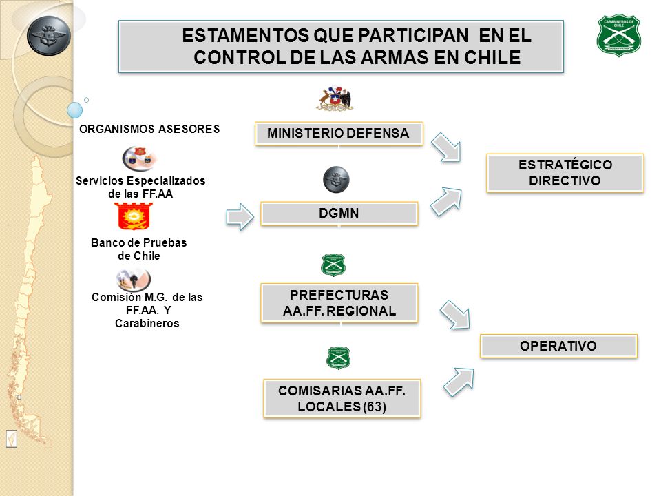 ESTAMENTOS QUE PARTICIPAN EN EL CONTROL DE LAS ARMAS EN CHILE