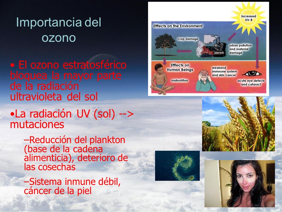Importancia del ozono El ozono estratosférico bloquea la mayor parte de la radiación ultravioleta del sol.