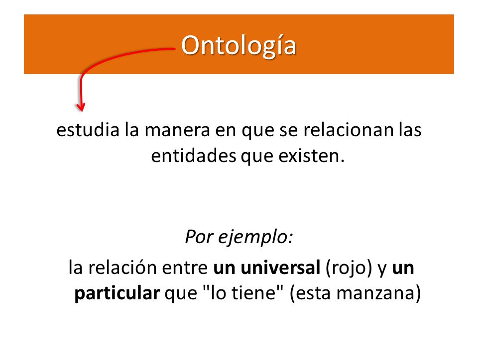 estudia la manera en que se relacionan las entidades que existen.
