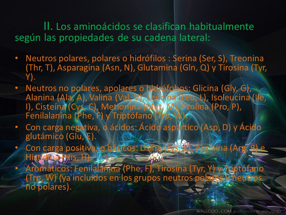 II. Los aminoácidos se clasifican habitualmente según las propiedades de su cadena lateral: