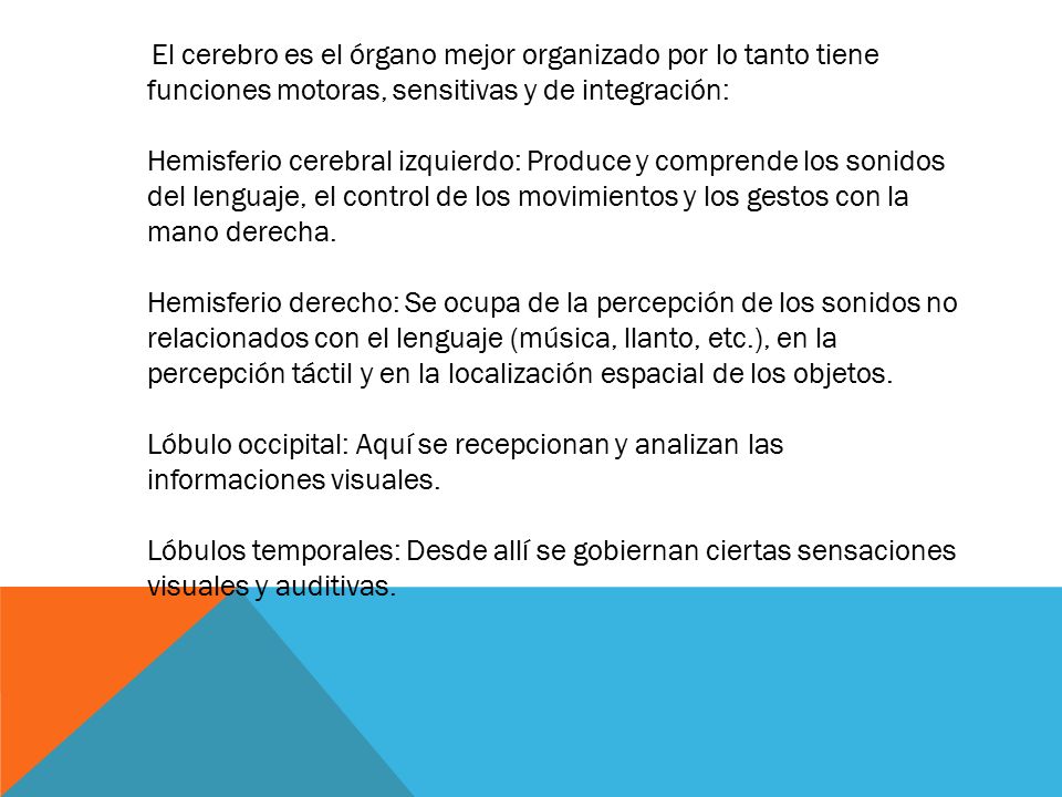 El cerebro es el órgano mejor organizado por lo tanto tiene funciones motoras, sensitivas y de integración: Hemisferio cerebral izquierdo: Produce y comprende los sonidos del lenguaje, el control de los movimientos y los gestos con la mano derecha.