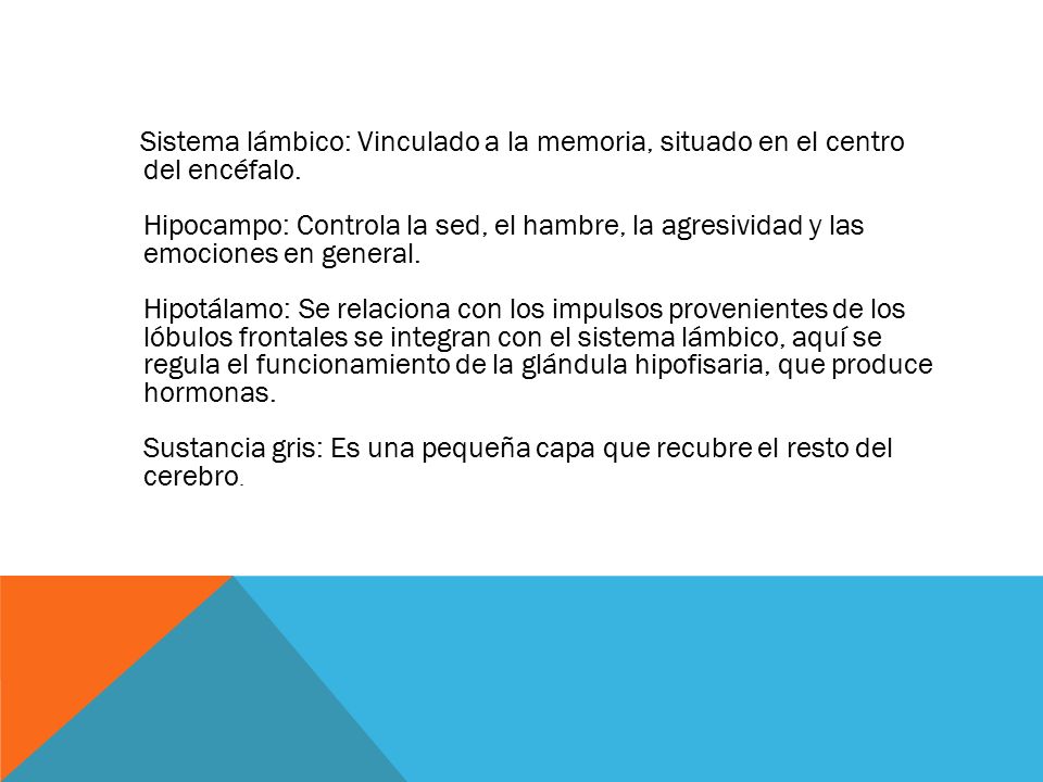 Sistema lámbico: Vinculado a la memoria, situado en el centro del encéfalo.